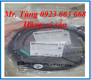 Cảm biến Pepperl Fuchs ML100-8-1000-RT/102/115