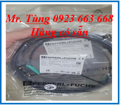Cảm biến Pepperl Fuchs ML100-8-1000-RT/102/115